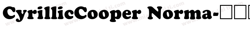 CyrillicCooper Norma字体转换
